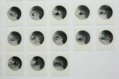 Tableau d’eclats, 2013  » Klicken zum Vergrössern ->