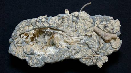 Marianne Engel  &raquo; Klicken zum Vergr&ouml;ssern ->