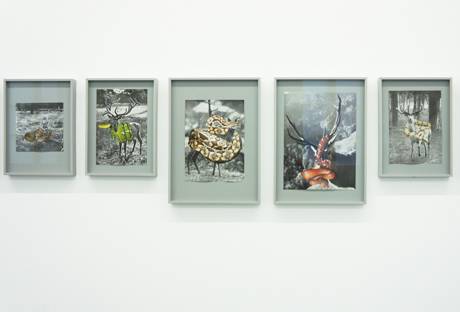 huber.huber  &raquo; Klicken zum Vergr&ouml;ssern ->