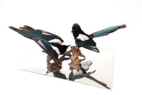 huber.huber  &raquo; Klicken zum Vergr&ouml;ssern ->