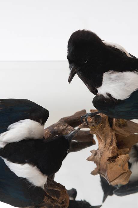 huber.huber  &raquo; Klicken zum Vergr&ouml;ssern ->