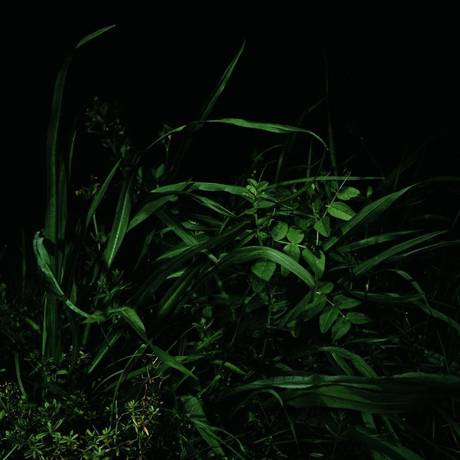 Marianne Engel  &raquo; Klicken zum Vergr&ouml;ssern ->