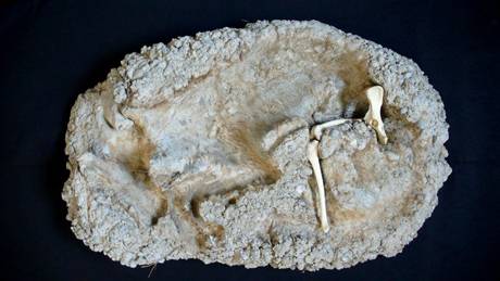 Marianne Engel  &raquo; Klicken zum Vergr&ouml;ssern ->