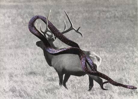 huber.huber  &raquo; Klicken zum Vergr&ouml;ssern ->