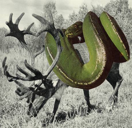 huber.huber  &raquo; Klicken zum Vergr&ouml;ssern ->