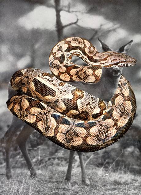 huber.huber  &raquo; Klicken zum Vergr&ouml;ssern ->