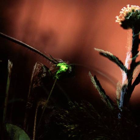 Marianne Engel  &raquo; Klicken zum Vergr&ouml;ssern ->