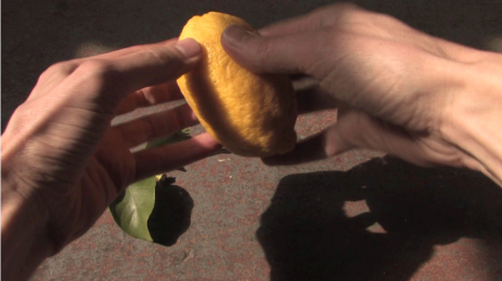 Judith Albert  &raquo; Klicken zum Vergr&ouml;ssern ->