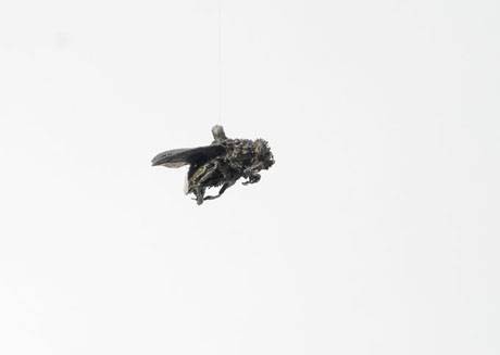 Gabriela Gerber & Lukas Bardill  » Klicken zum Vergrössern ->