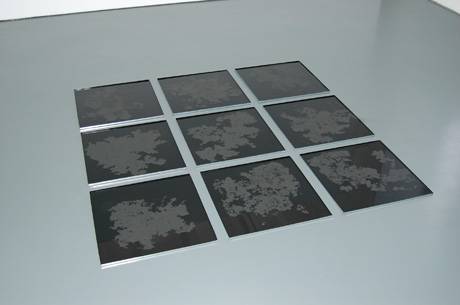 Remo Albert Alig  » Klicken zum Vergrössern ->