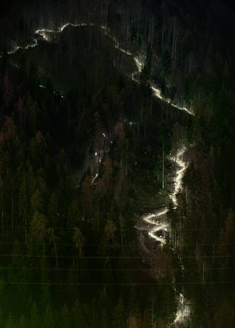 Am Hang, 2014  » Klicken zum Vergrössern ->