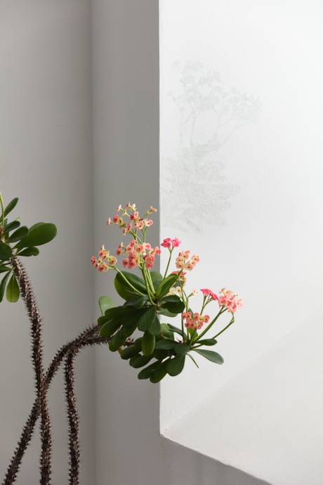 Evelina Cajacob  » Klicken zum Vergrössern ->