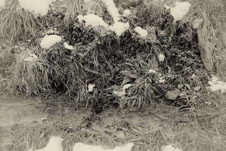 Andrea Giuseppe Corciulo  » Klicken zum Vergrössern ->