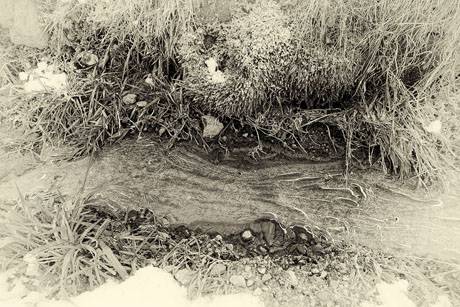 Andrea Giuseppe Corciulo  » Klicken zum Vergrössern ->