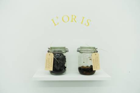 Loris, 2016/2018.  » Klicken zum Vergrössern ->