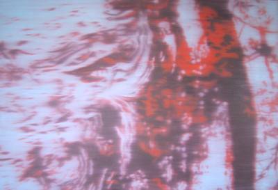 Cascade, 2005.  » Klicken zum Vergrössern ->