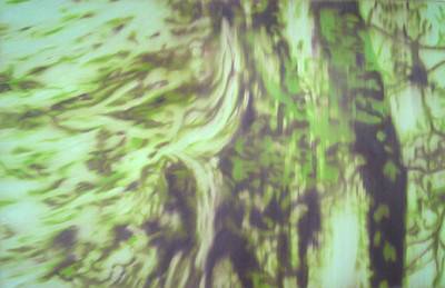 Cascade, 2005.  » Klicken zum Vergrössern ->