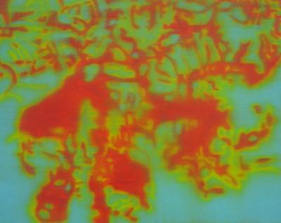 Ladina Gaudenz – Vers-soi, 2004.  » Klicken zum Vergrössern ->