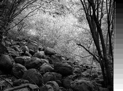 Thomas Popp - Basaltkugeln am Schwarzen See (D), 2005.  » Klicken zum Vergrössern ->