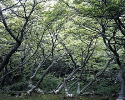 Astrid Korntheuer - Patagonien. Ushuaia 3, 2005.  » Klicken zum Vergrössern ->