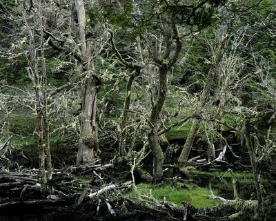 Astrid Korntheuer - Patagonien. Ushuaia 6, 2005.  » Klicken zum Vergrössern ->