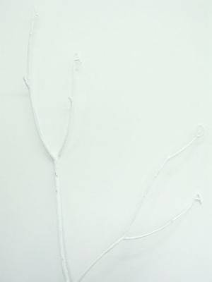 Nada, 2007 (Detail).  » Klicken zum Vergrössern ->