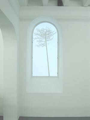 GABRIELA GERBER / LUKAS BARDILL, Laerche, 2006.  » Klicken zum Vergrössern ->