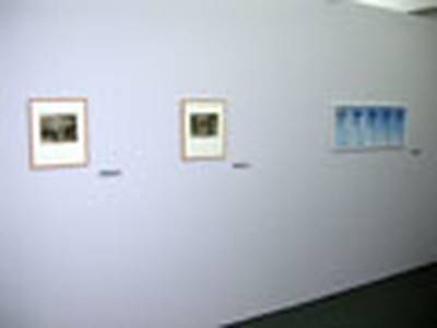 LÄRCHEN  » Klicken zum Vergrössern ->