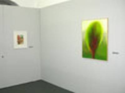 LÄRCHEN  » Klicken zum Vergrössern ->