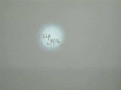 ZILLA LEUTENEGGER, Torch (Taschenlampe), 2006.  » Klicken zum Vergrössern ->