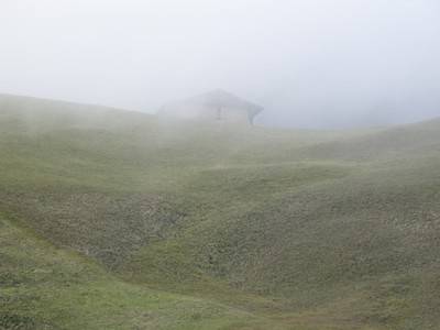 Spina, 2008.  » Klicken zum Vergrössern ->