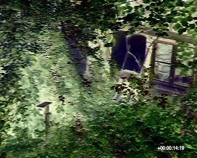 Judith Albert. Promenade, 2007.  » Klicken zum Vergrössern ->