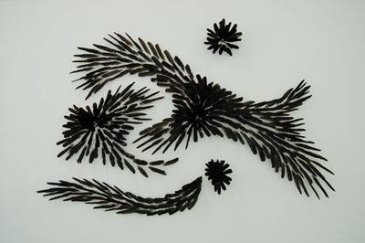 Sogno, (Nachtst&uuml;ck 1), 2005/07/08.  &raquo; Klicken zum Vergr&ouml;ssern ->