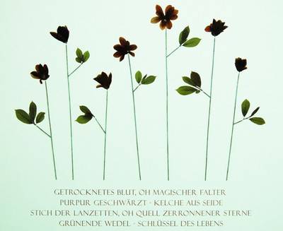 Remo Albert Alig, M.A.G.N.O.L.I.A., 2008/09  » Klicken zum Vergrössern ->