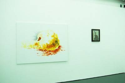 Michael Günzburger, Schwamm, 2009 / Schulter, 2009.  » Klicken zum Vergrössern ->