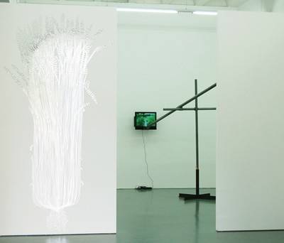 Monika Von Aarburg, Roggenstock, 2009.  » Klicken zum Vergrössern ->