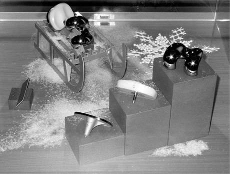 Endo Display, H 2956, 2008.  » Klicken zum Vergrössern ->