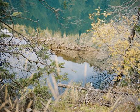 Lago, 2009.  » Klicken zum Vergrössern ->