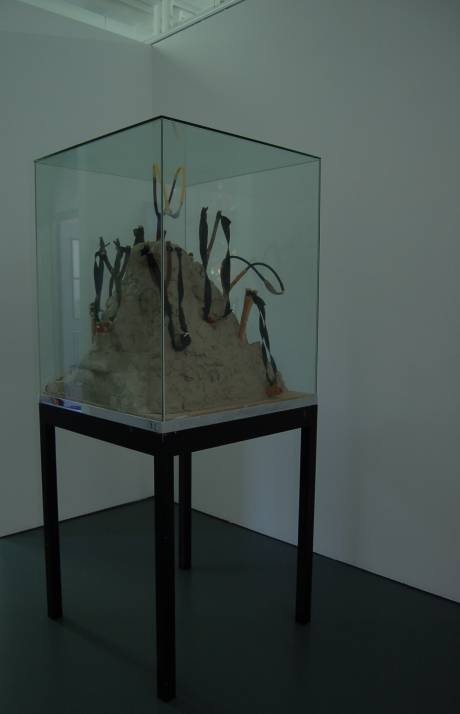 Slingshot Mountain, 2009.  » Klicken zum Vergrössern ->