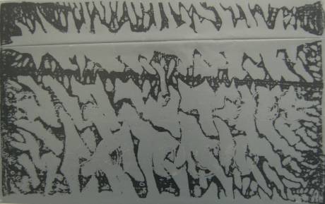 Erika, Dec. 12 1999, 20 000.  » Klicken zum Vergrössern ->