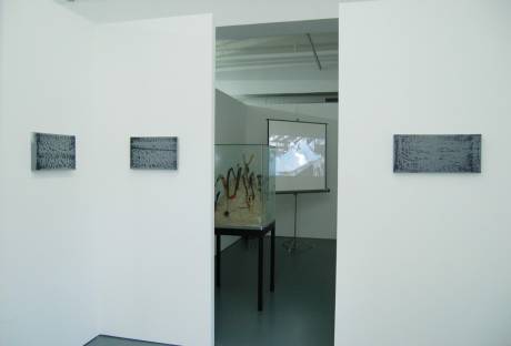 Ausstellungsansicht.  » Klicken zum Vergrössern ->