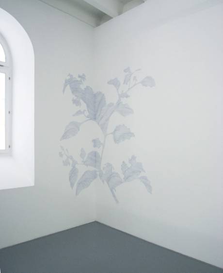 Evelina Cajacob  » Klicken zum Vergrössern ->