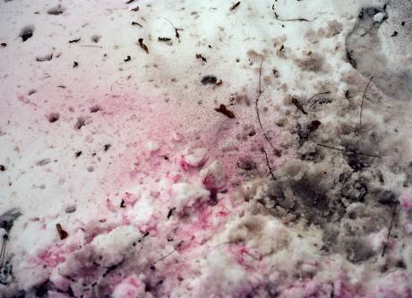 Gaudenz Metzger  &raquo; Klicken zum Vergr&ouml;ssern ->