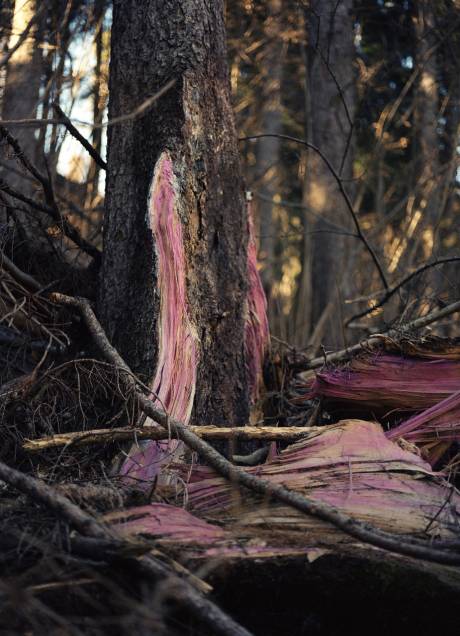 Gaudenz Metzger  &raquo; Klicken zum Vergr&ouml;ssern ->