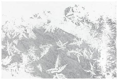 Zeichnung in grau, 2011.  » Klicken zum Vergrössern ->