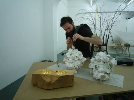 Pascal Schwaighofer  » Klicken zum Vergrössern ->