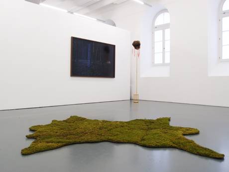 Natur I  » Klicken zum Vergrössern ->