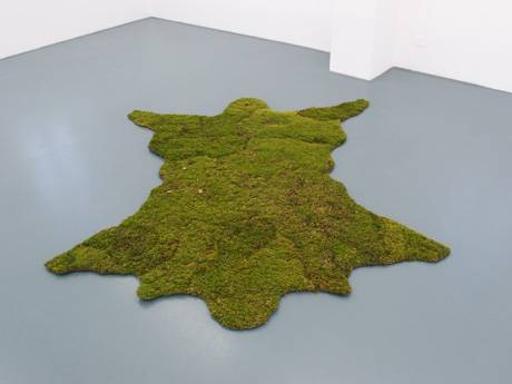 Remo Albert Alig  » Klicken zum Vergrössern ->