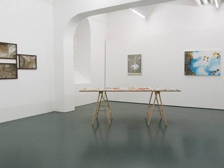 Natur II  » Klicken zum Vergrössern ->