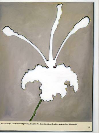 Andrea Giuseppe Corciulo  &raquo; Klicken zum Vergr&ouml;ssern ->